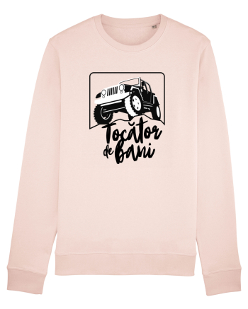 Tocator de bani Candy Pink