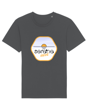Serene Mood Anthracite