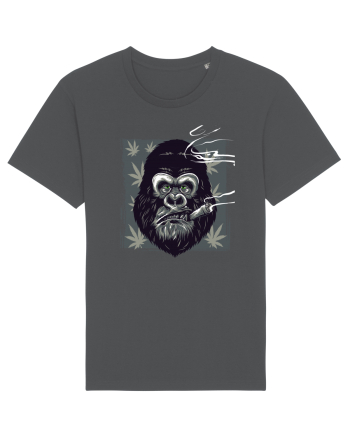 Gorilla Smoke Weed Anthracite