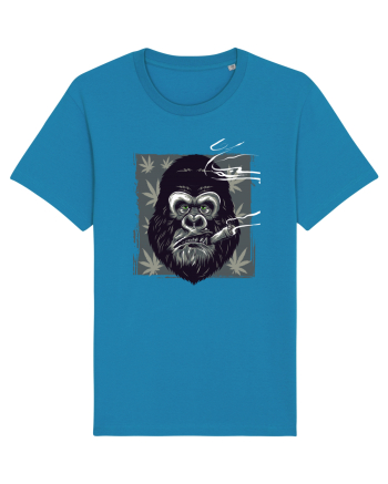 Gorilla Smoke Weed Azur