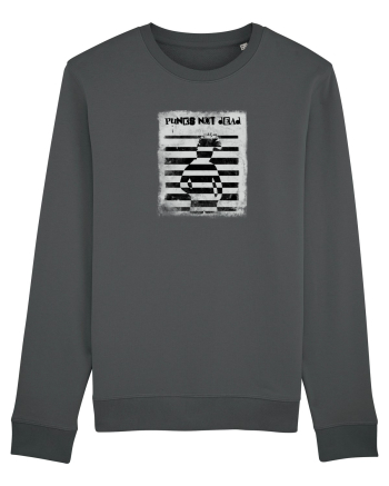 punks not dead Anthracite