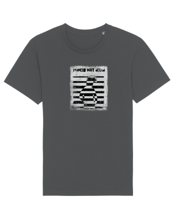 punks not dead Anthracite