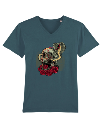 Cobra Skull Stargazer