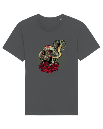Cobra Skull Anthracite