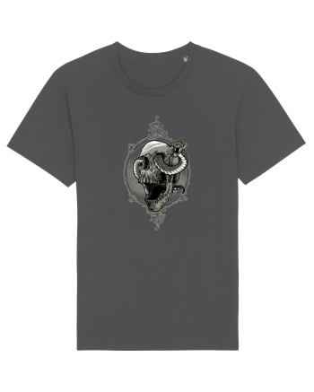 Snake House Anthracite
