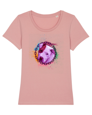 Pitbull Paint Canyon Pink