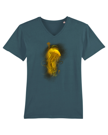 Jellyfish Stargazer