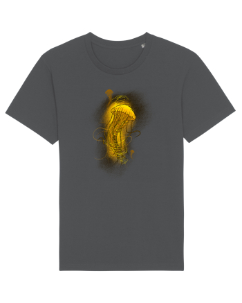 Jellyfish Anthracite